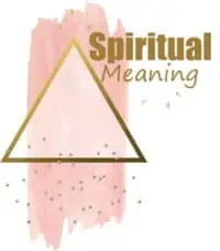 Spiritual meaning