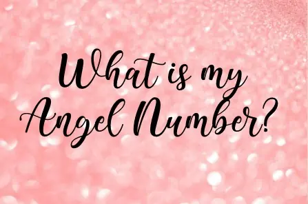 what is my angel number